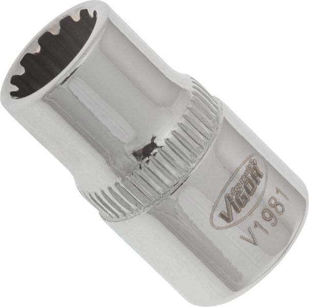 VIGOR Clé à douille V1981